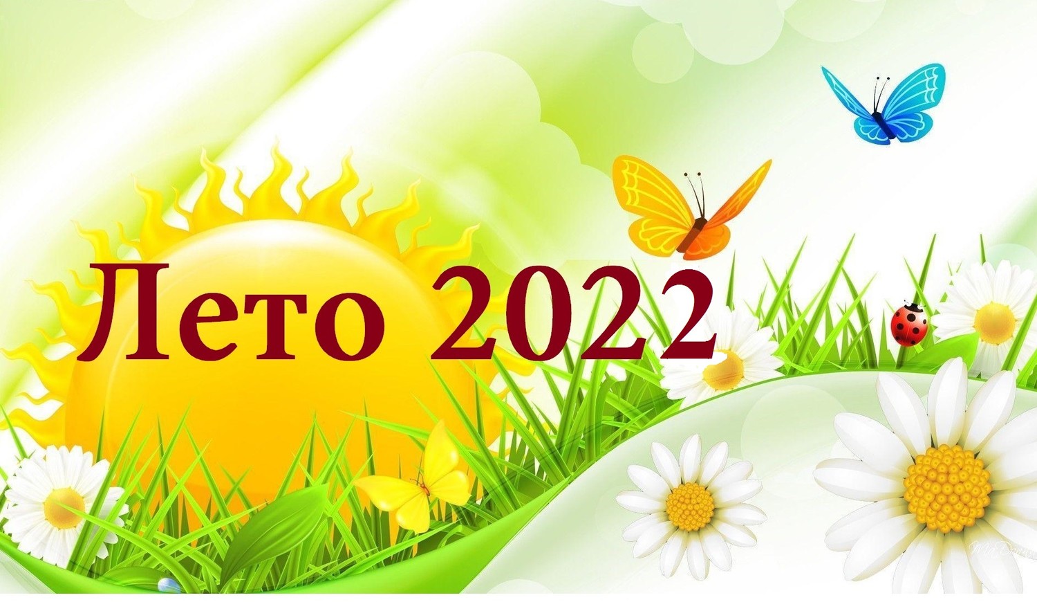 Лето 2022 картинки